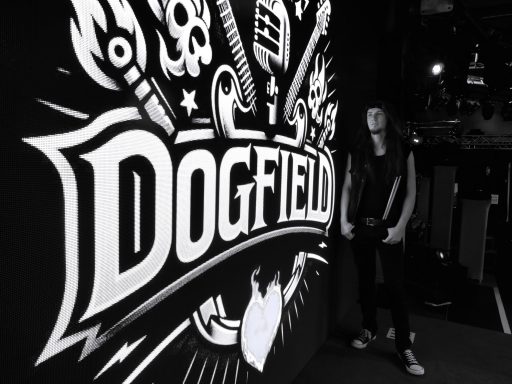 Dogfield Hard & Heavy Rock Band